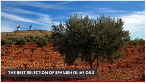 best selection of olive oil